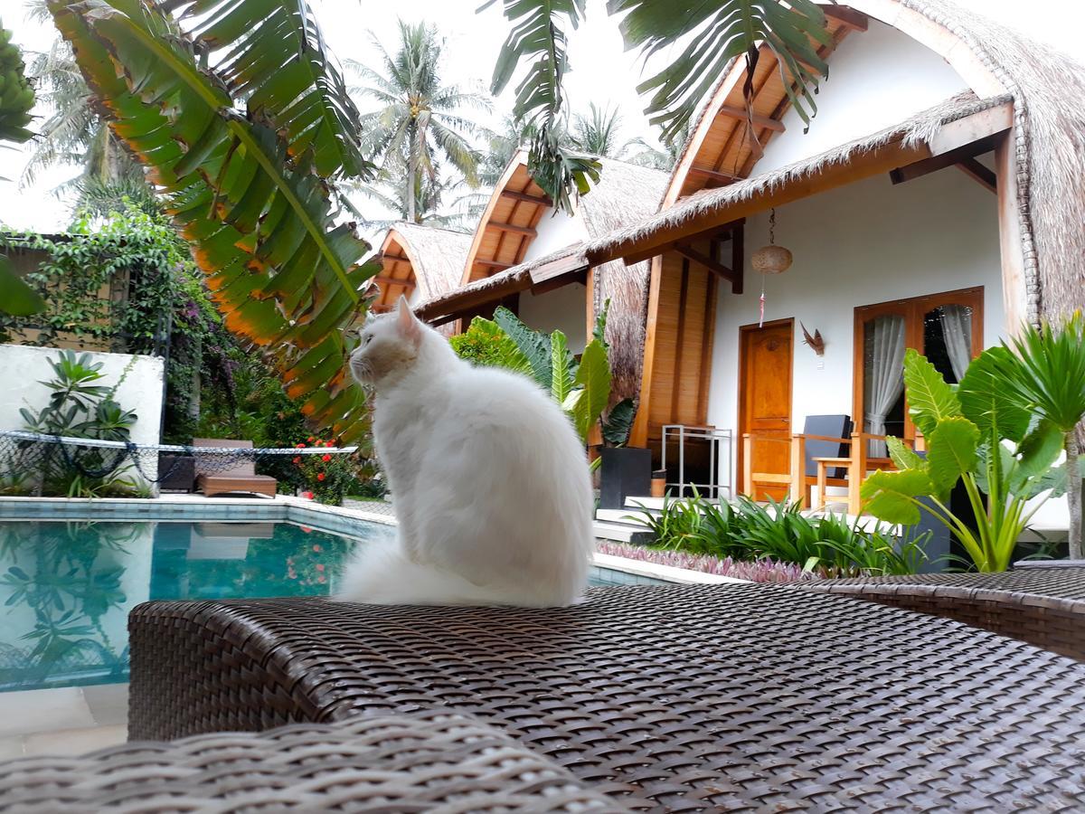 Teras Lombok Bungalow Senggigi Exterior foto